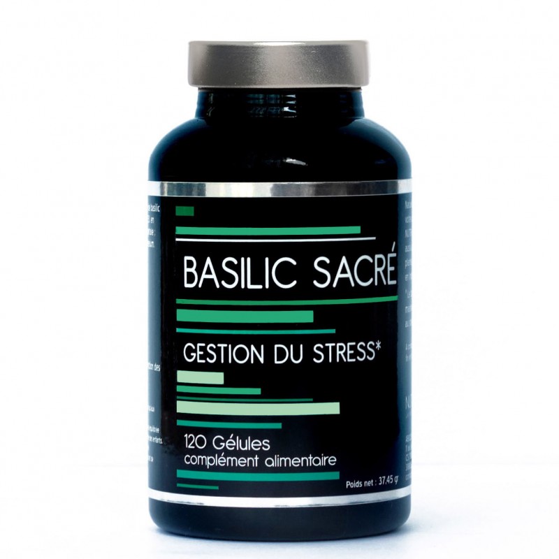 Est Ce Que Le Basilic Craint Le Gel Basilic Sacré NUTRIVIE
