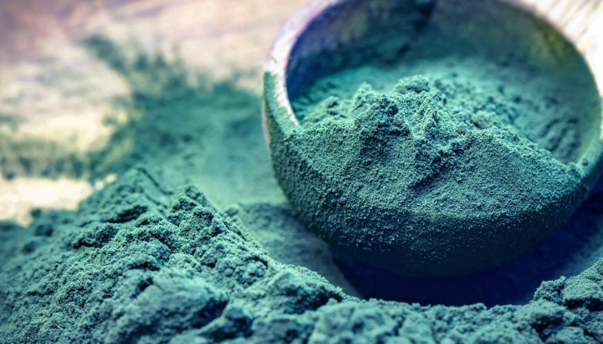 Tout savoir sur la Spiruline !